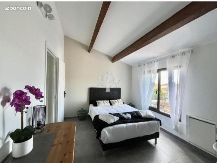 Villa Bandol Proche Du Port Et Des Plages 외부 사진